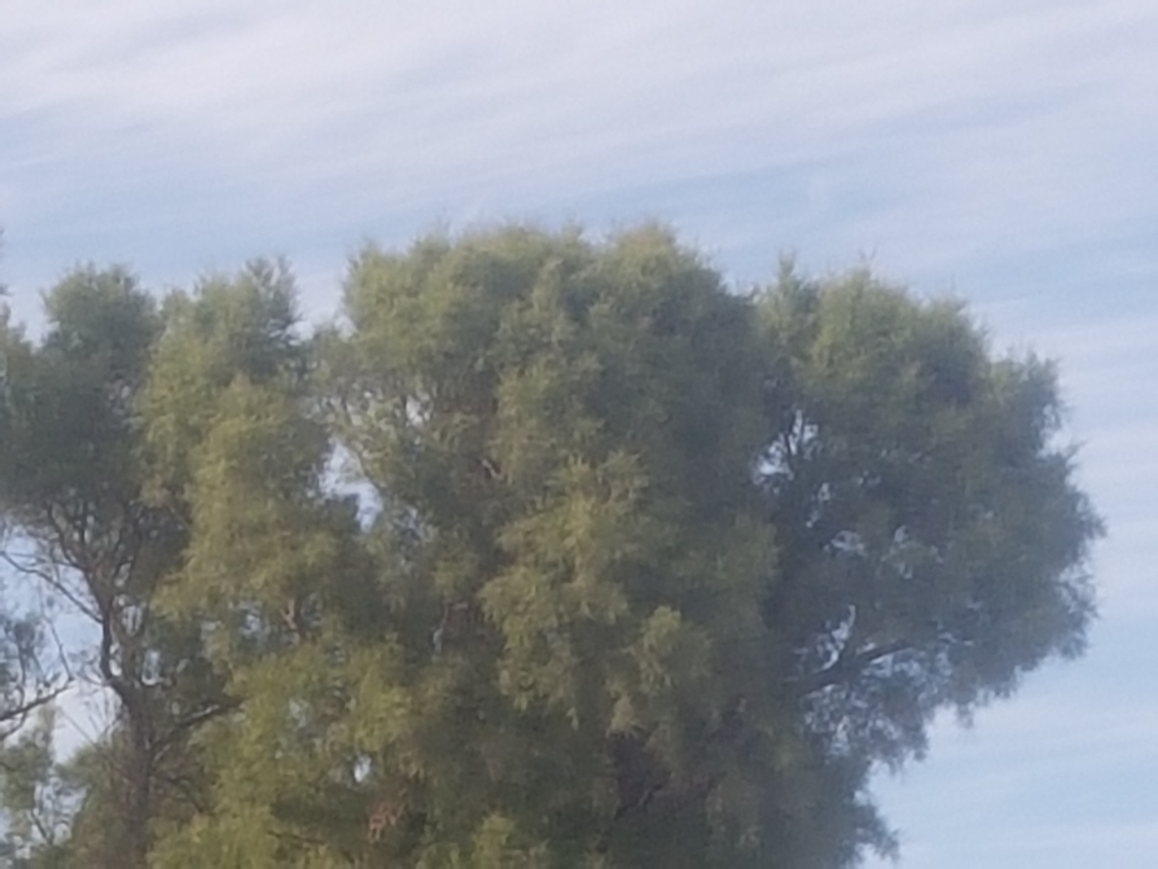 1516540842645443167560.jpg